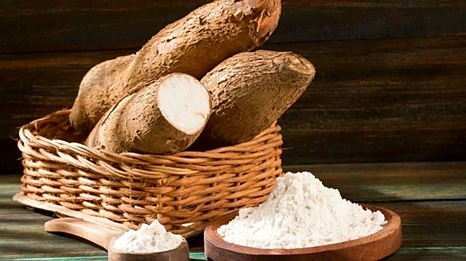 Tapioca lover? These snacks are a must-try