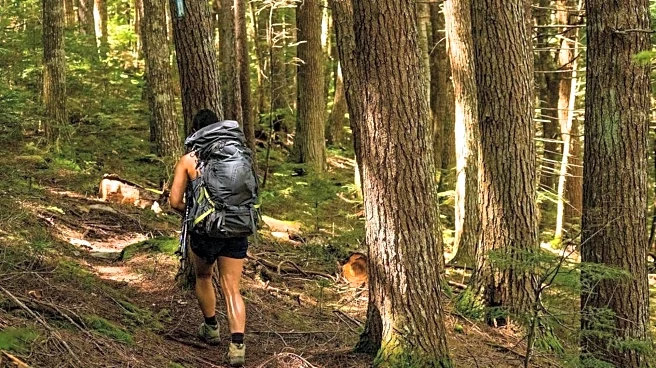 Why you should hike uneven forest trails more
