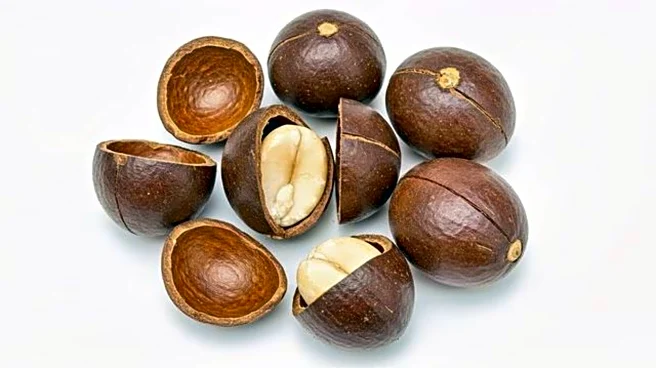 Why you should know about dika nut shell