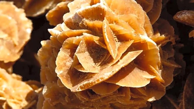 How to create stunning desert rose sculptures