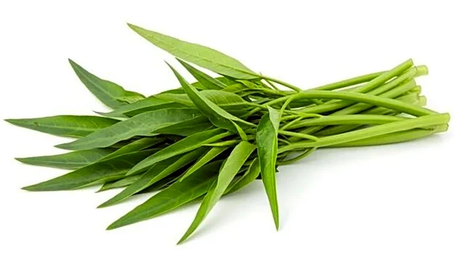 How to grow water spinach in plastic bottles