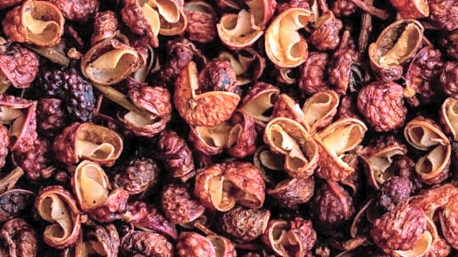 How Sichuan pepper can boost your metabolism