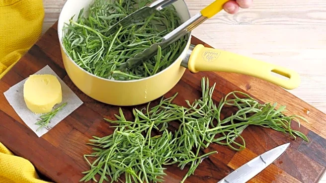 Fan of samphire? Try these dishes
