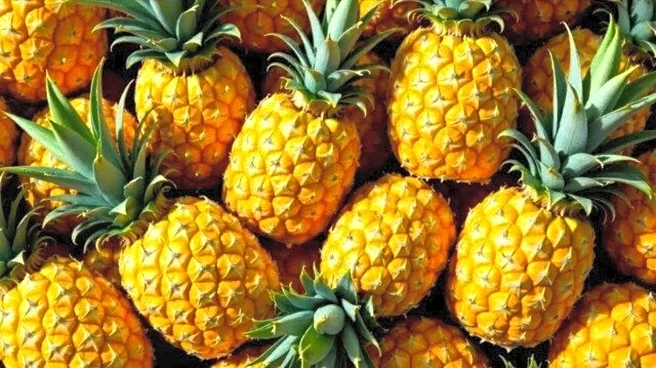 Surprising health benefits of pineapple peels