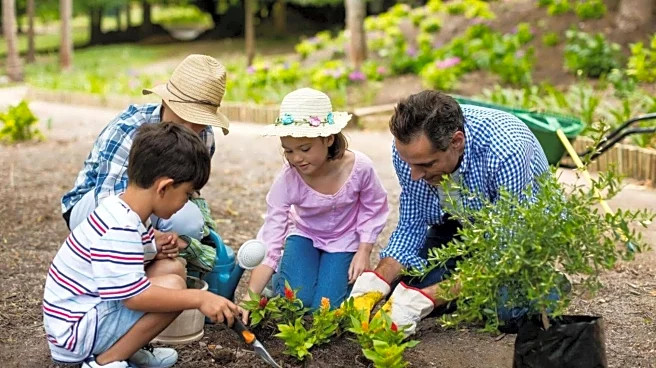 Engage your kid in these family activities to teach perseverance