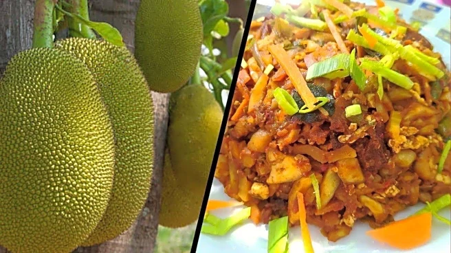 Visiting Sri Lanka? You must try these jackfruit-based snacks