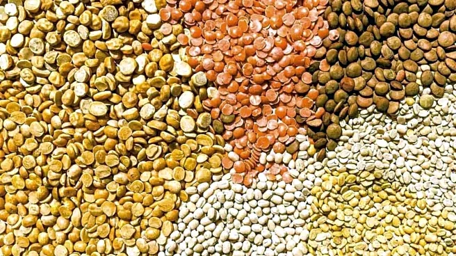 Toor dal v/s masoor dal: Comparing their nutrition