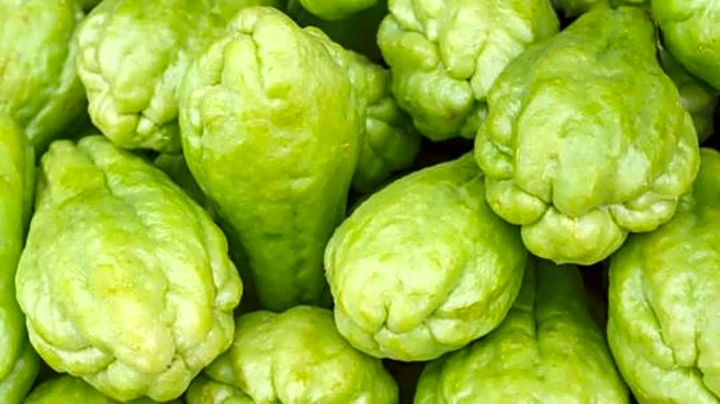 Try these dishes using chayote squash