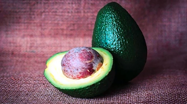 5 uses of avocado seeds