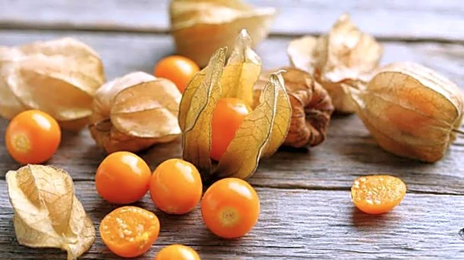 How use Cape gooseberry in cooking