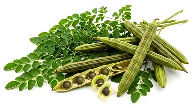 5 beauty hacks using moringa pods