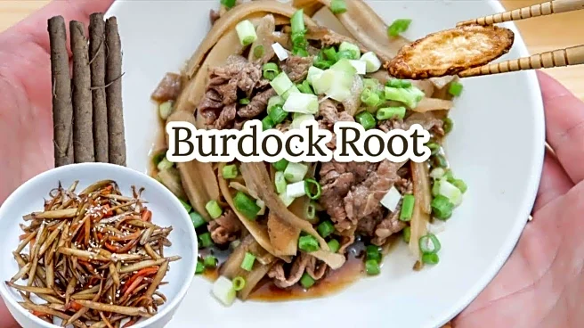 Like burdock root? These recipes are perfect for you