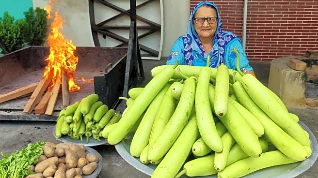 Fennel + bottle gourd: 5 recipes you'll love