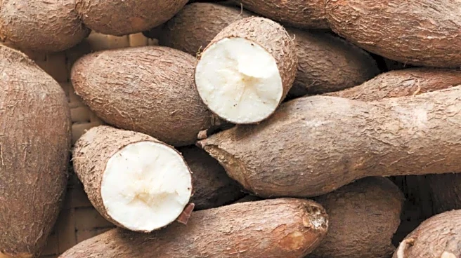 Arrowroot or tapioca: Which is better for gluten-free baking?