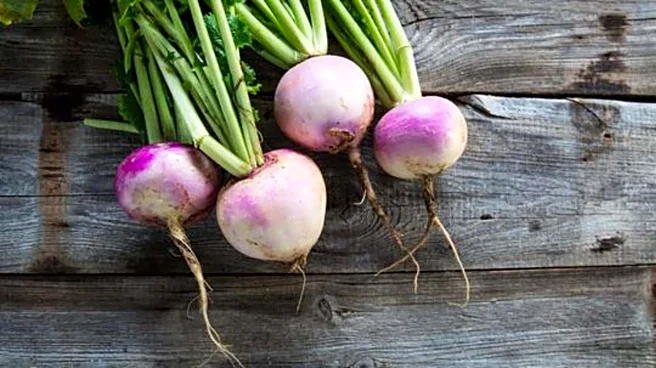 5 breakfast ideas using turnips