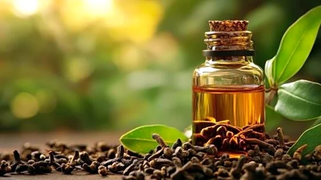 5 traditional uses of clove oil