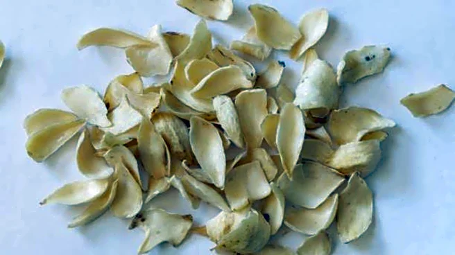 Dried lily flowers: A versatile staple in Asian cuisine