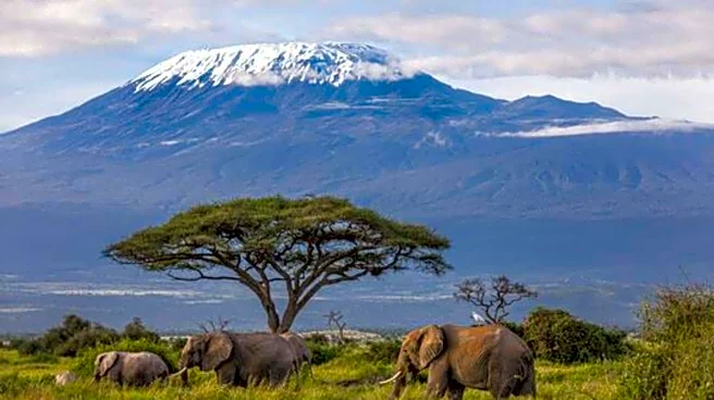 Ice climbing on Mount Kenya: Safety, tips, and more