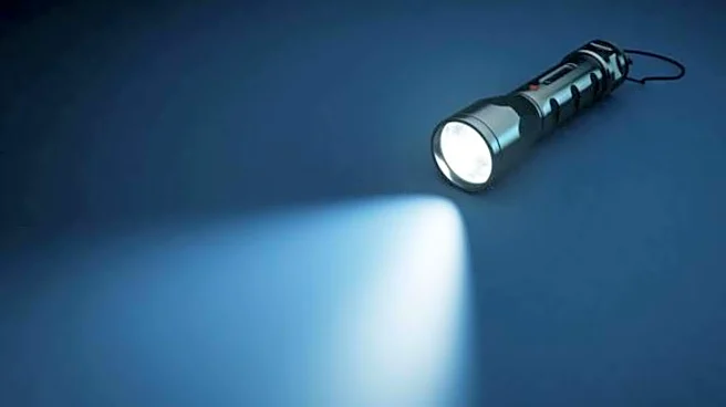 Shop smart: How to pick a reliable torch light