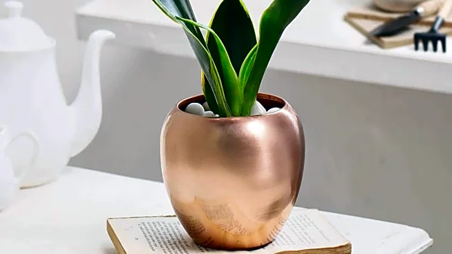Best places to place copper planters at home
