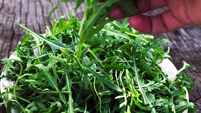 Try these dishes using taramira greens