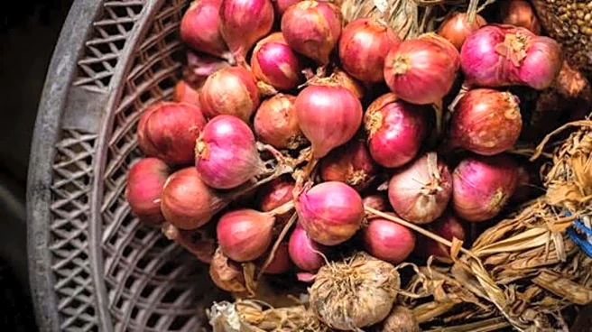 How to grow shallots in your garden