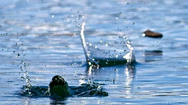 Cricket bowling v/s stone skipping: Which improves wrist flexibility?