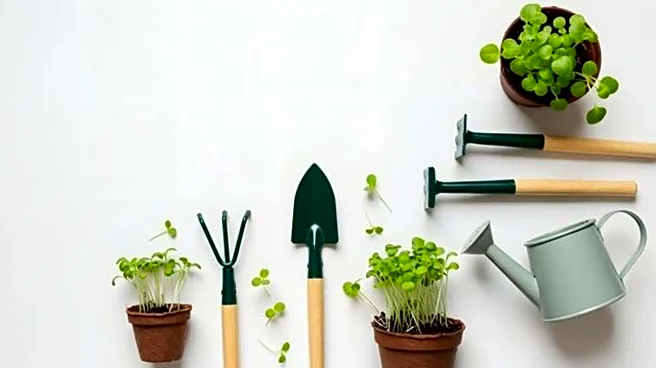 How to declutter your gardening tools