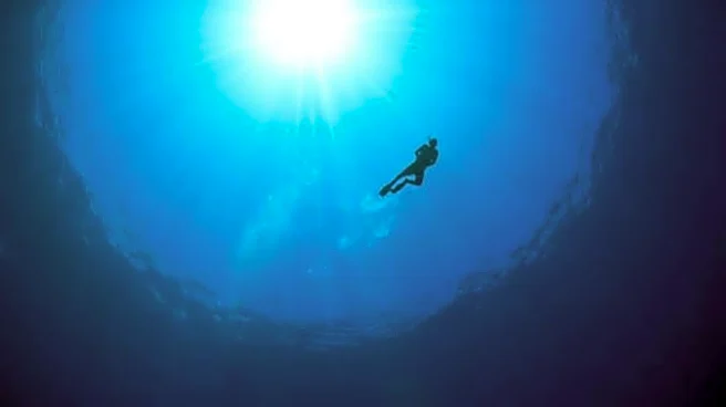 If you're into free diving, then this is for you