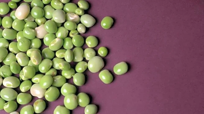 5 iconic dishes featuring pigeon pea