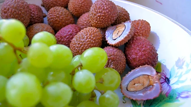 Grapes v/s lychee: Which fruit is more hydrating?