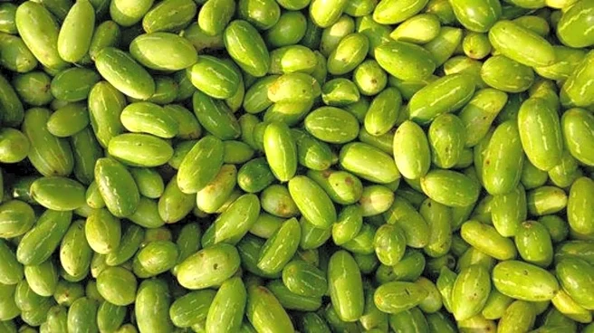 How to use ivy gourd in cooking