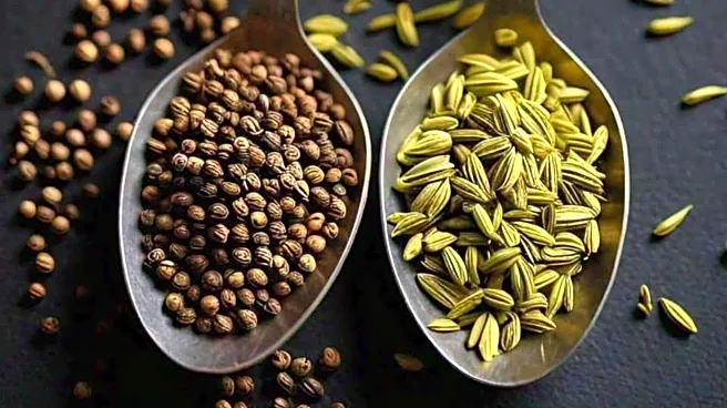 Carom seeds v/s fennel seeds: Which aids digestion better?