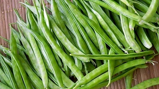 Dislike cluster beans? These dishes may change your mind