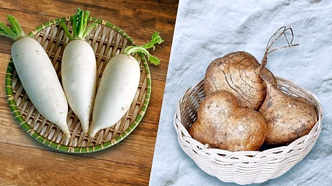 Jicama v/s daikon: Which is more nutritious?