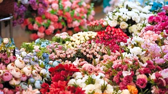 5 must-visit flower markets in Paris