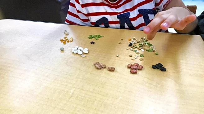 These games can improve your children's judgment skills