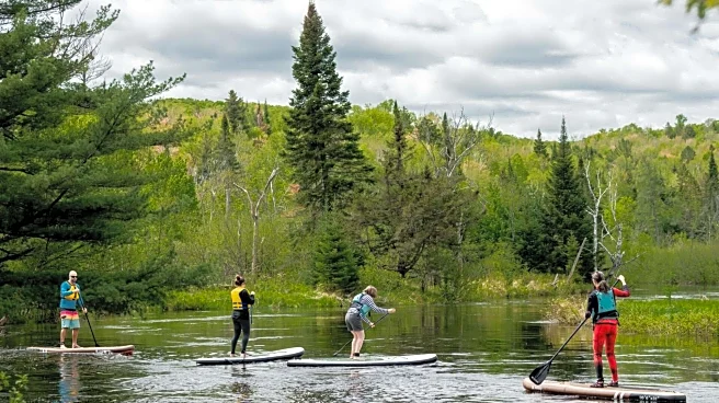 Stand-up paddleboarding v/s roller skiing: Which is better for arms?