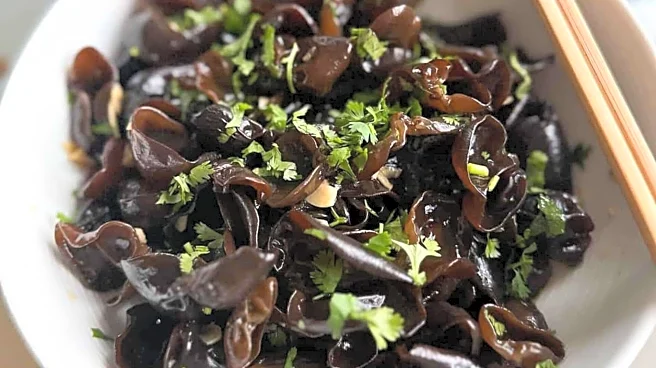 Snack time? Try these wood ear mushroom delights