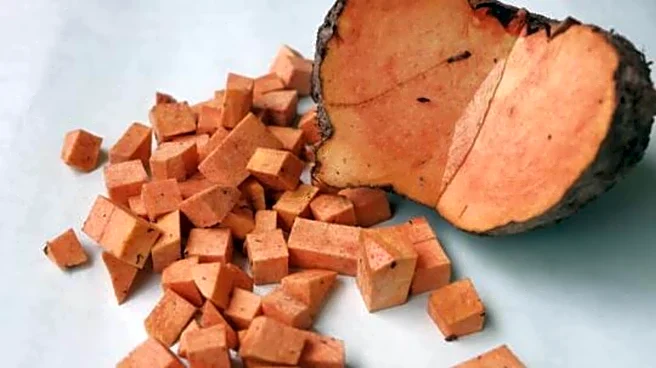 Elephant foot yam: 5 must-try dishes