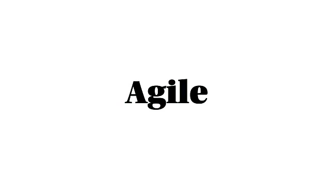 Word of the Day: Agile