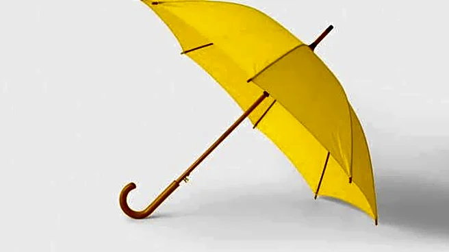How to choose a long-lasting umbrella