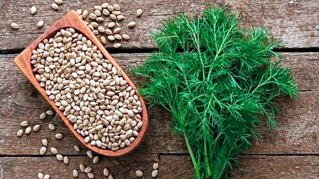 5 health benefits of dill seeds for women