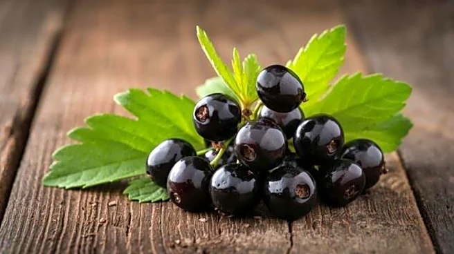 Love black currants? You'll enjoy these recipes