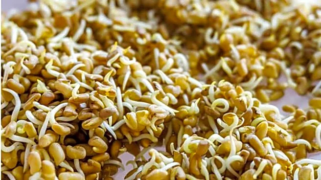 Fenugreek sprouts for breakfast: 5 must-try recipes