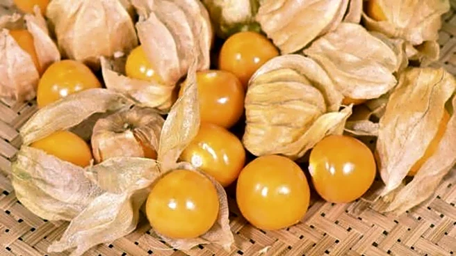 5 iconic recipes featuring cape gooseberry