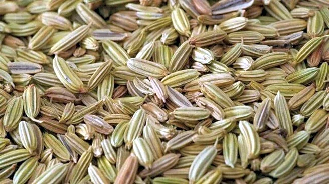 Fennel seeds for breakfast: Tasty and healthy ideas