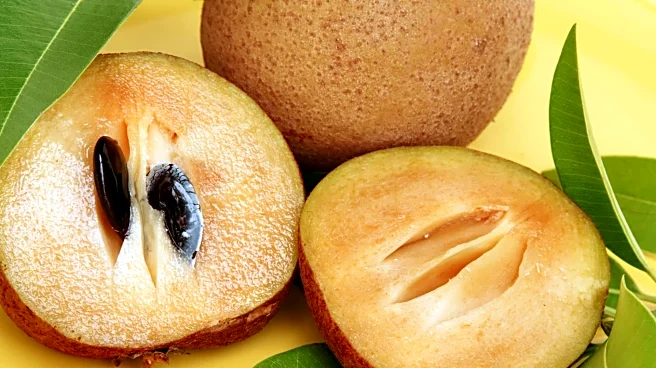Sapodilla v/s persimmon: Which has more natural sugar?