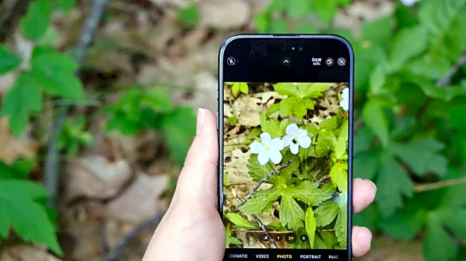 #TechBytes: How to use your smartphone to identify plants