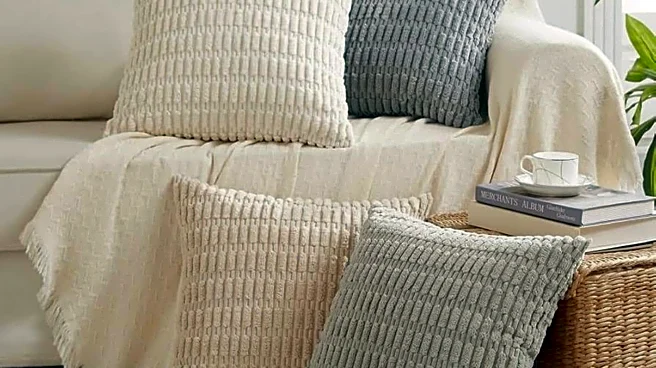 Why experts are celebrating this decor item's comeback